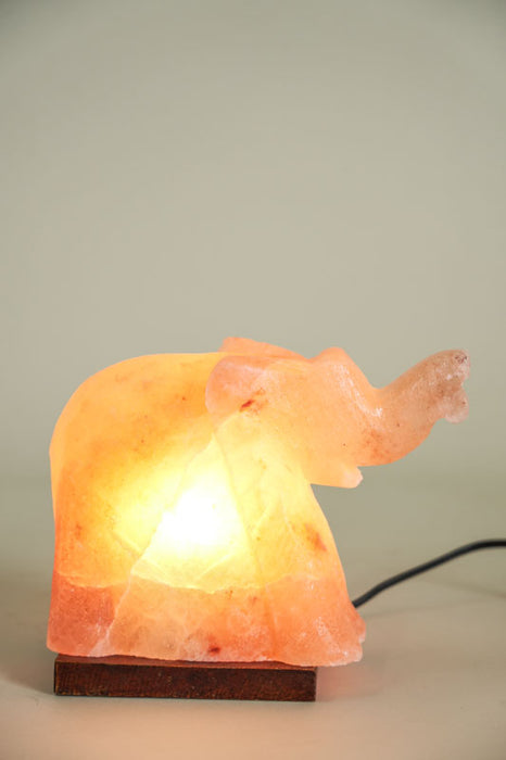 Salt Lamp Elephant