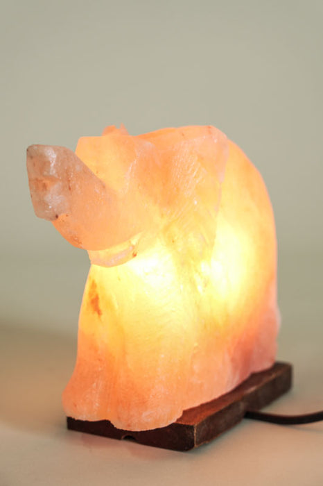 Salt Lamp Elephant