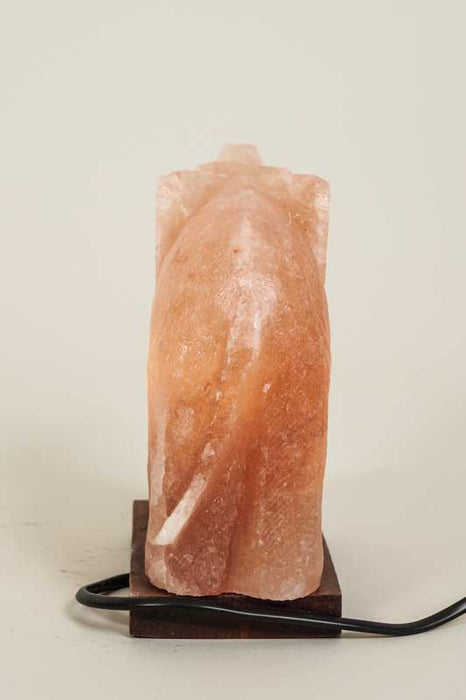 Salt Lamp Elephant