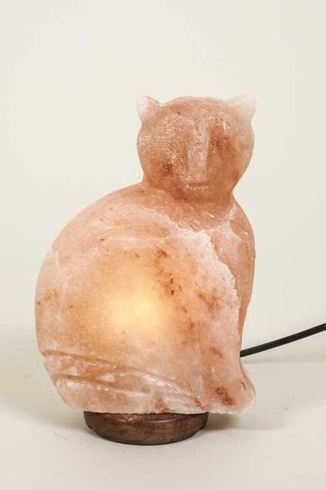 Lampe en sel chat