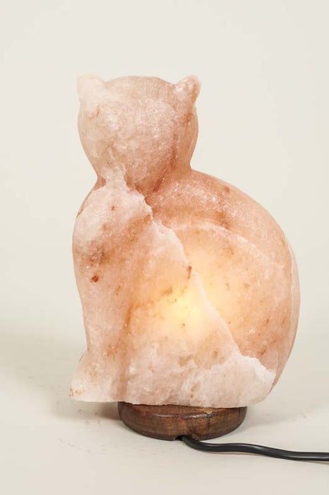 Lampe en sel chat