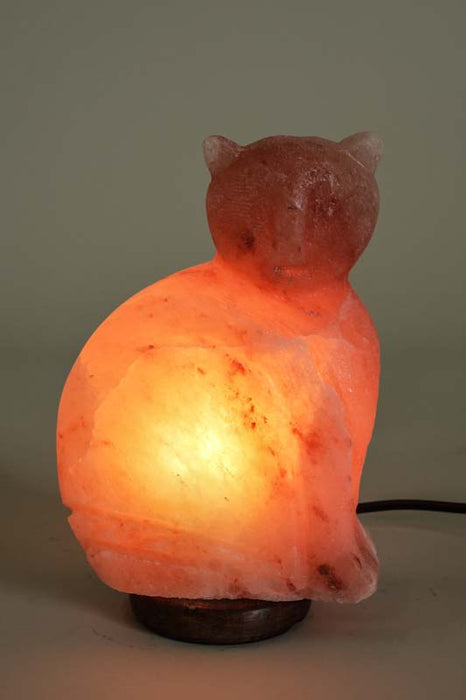 Lampe en sel chat