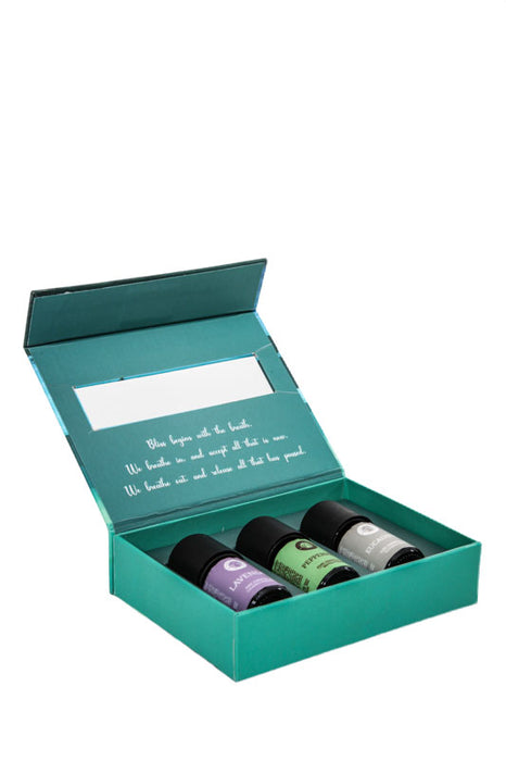 Respirez Aromathérapie 3x5ml