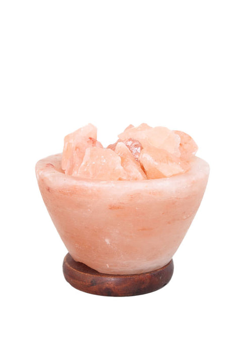 Salzsteinlampe Bowl