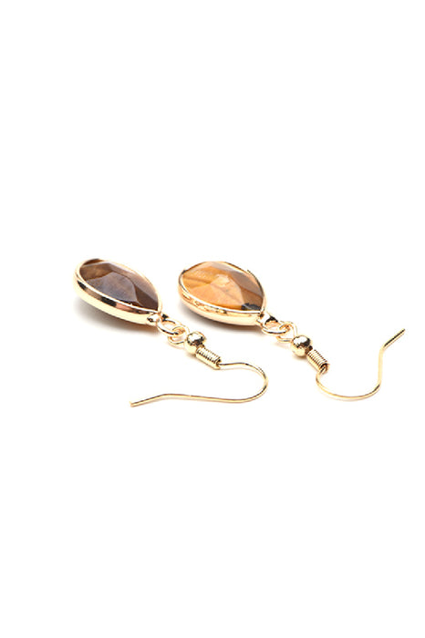 Earrings faceted tiger eye