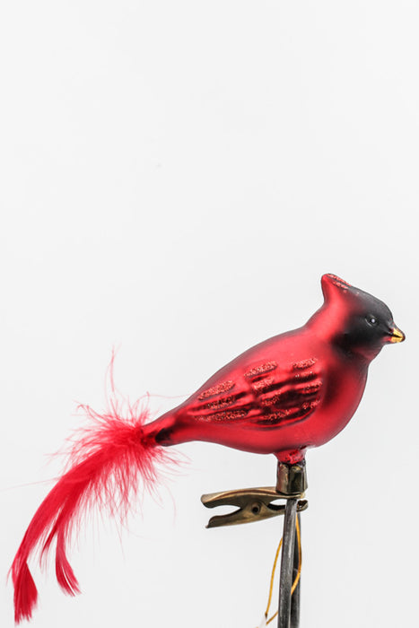 glass bird red