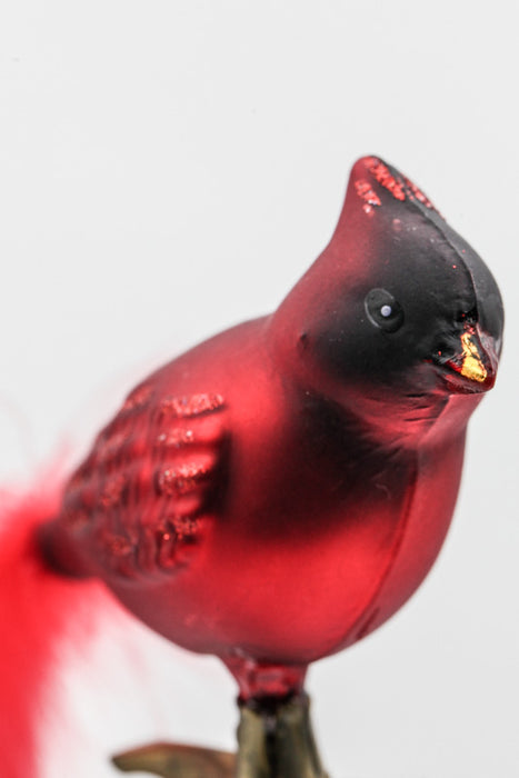 glass bird red