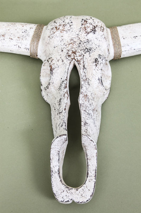 crâne d'animal 45x87cm
