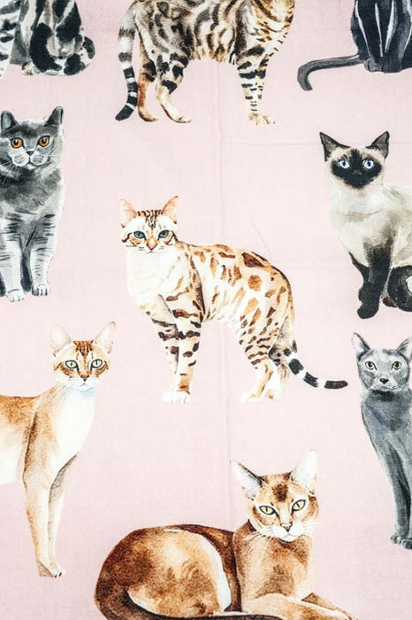 Küchentuch Baumwolle Katzen 50x70cm
