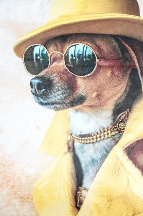 Samtkissen mit Stickereien Hund mit Hut 45x45cm