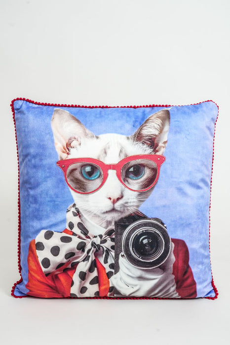 Samtkissen mit Stickereien Katze mit Sonnenbrille 45x45cm