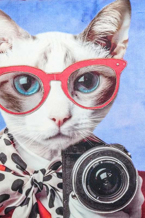 Samtkissen mit Stickereien Katze mit Sonnenbrille 45x45cm