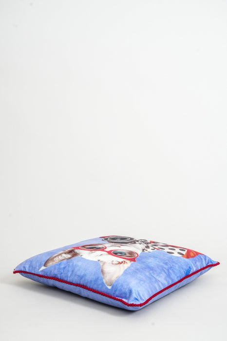 Samtkissen mit Stickereien Katze mit Sonnenbrille 45x45cm