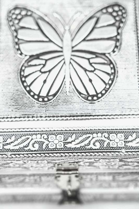 Jewelry box silver-colored butterfly 23x15x10 cm
