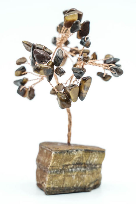 Edelsteinbaum Tigerauge