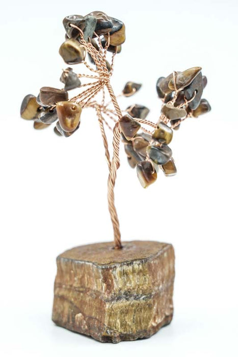Edelsteinbaum Tigerauge