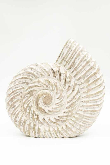 Deko Muschel Mangoholz 24cm
