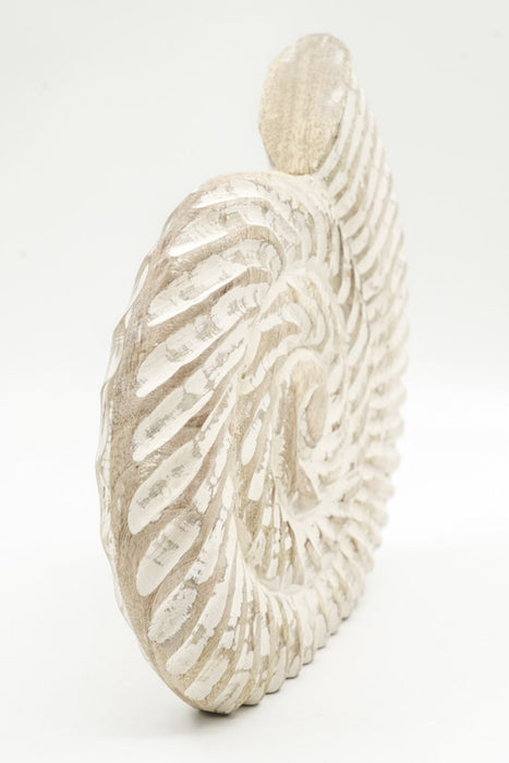 Deko Muschel Mangoholz 24cm