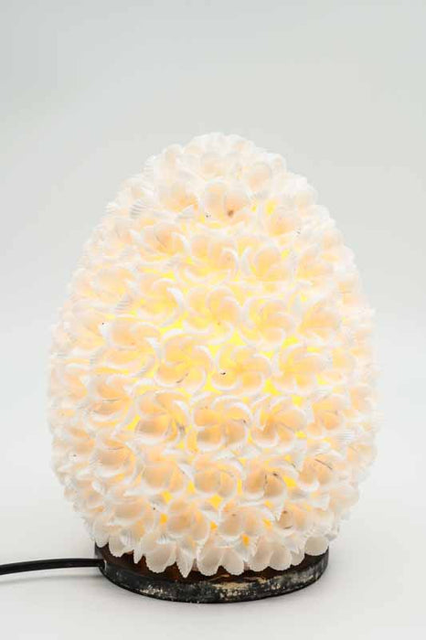 Muschellampe oval weiss  20 cm