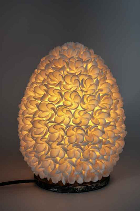 Muschellampe oval weiss  20 cm