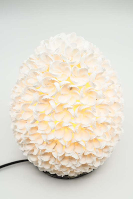 Muschellampe oval weiss  20 cm