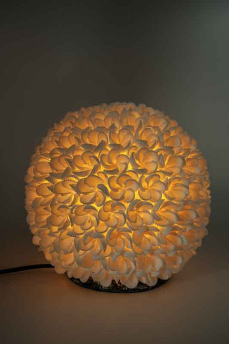 Muschellampe Ball weiss  20 cm