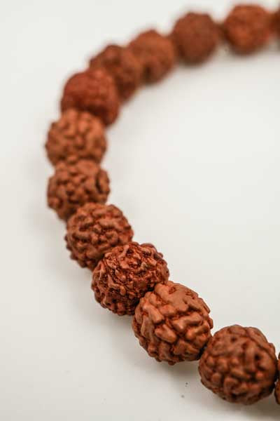 Bracelet Rudraksha