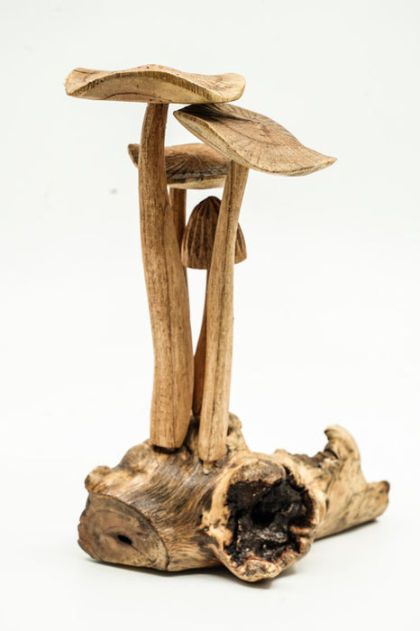 Decorative assorted mushrooms on stems, natural, 20cm