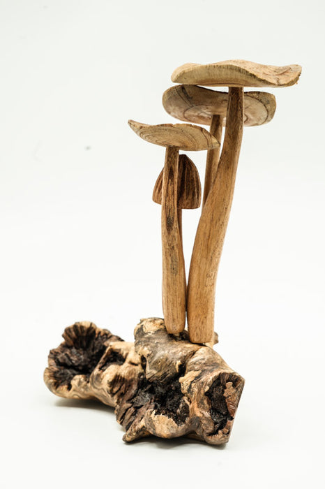 Decorative assorted mushrooms on stems, natural, 20cm