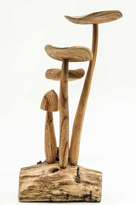 Decorative assorted mushrooms on stems, natural, 25cm