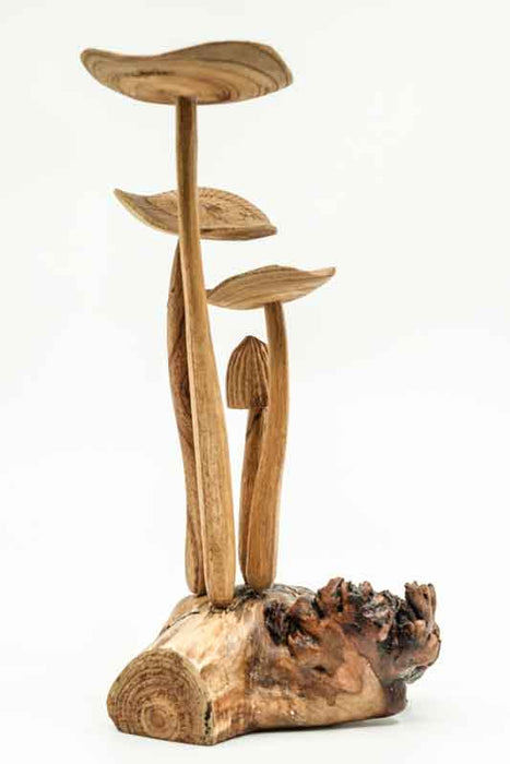 Decorative assorted mushrooms on stems, natural, 25cm