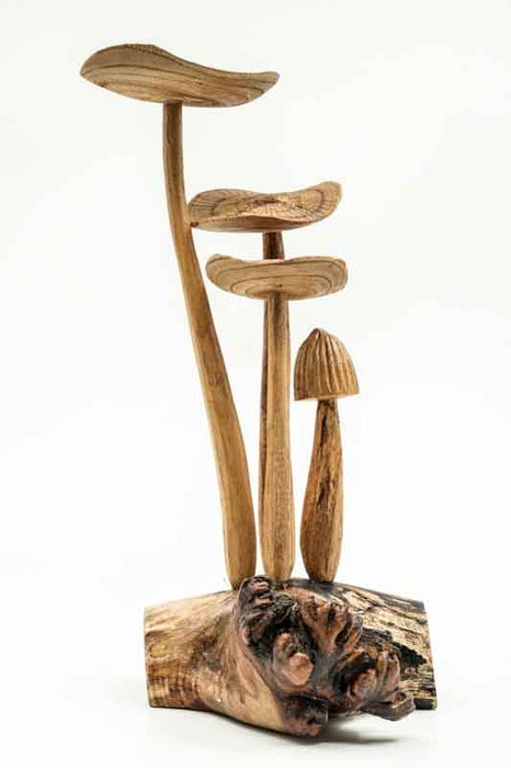 Decorative assorted mushrooms on stems, natural, 25cm