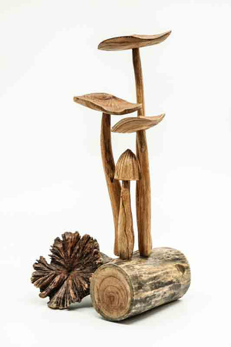 Decorative assorted mushrooms on stems, natural, 25cm