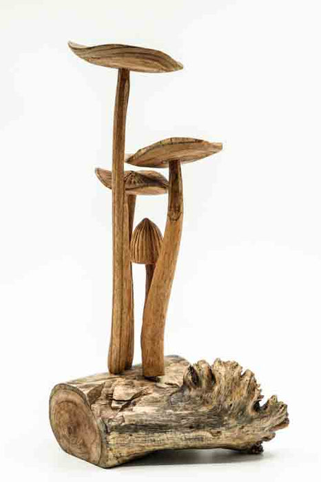 Decorative assorted mushrooms on stems, natural, 25cm