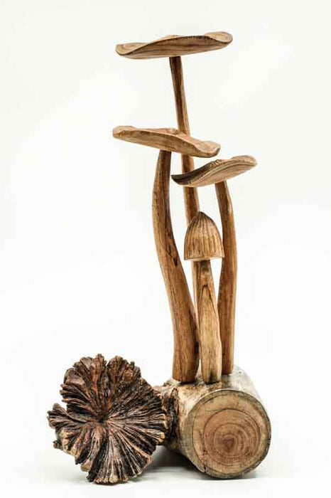 Decorative assorted mushrooms on stems, natural, 25cm