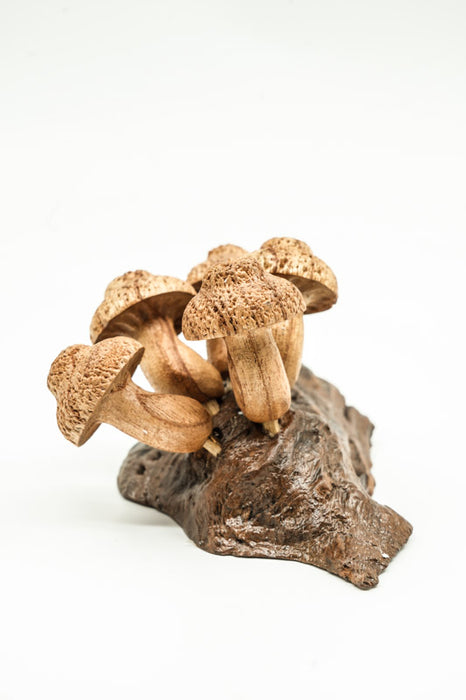 Wall decoration assorted mushrooms on stem natural 20cm