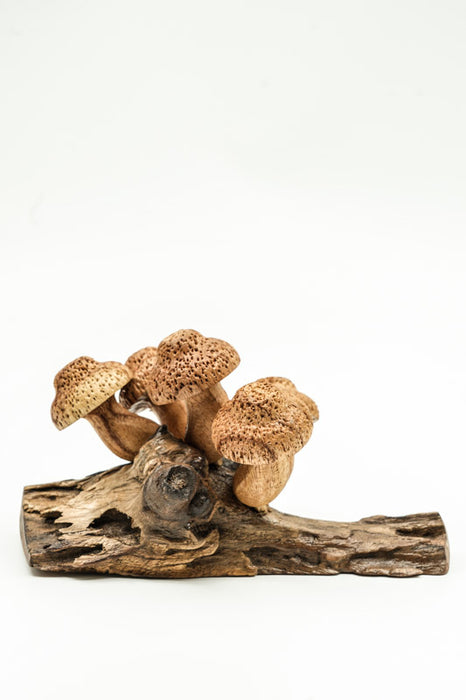 Wall decoration assorted mushrooms on stem natural 20cm
