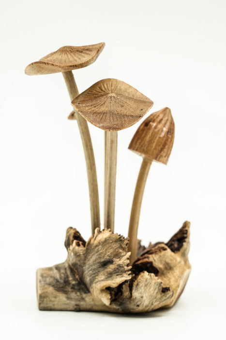 Decorative assorted mushrooms on stems, natural, 12cm