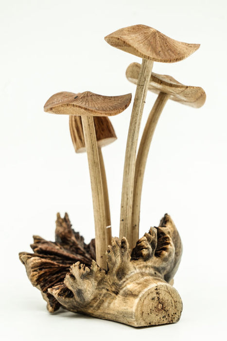 Decorative assorted mushrooms on stems, natural, 12cm