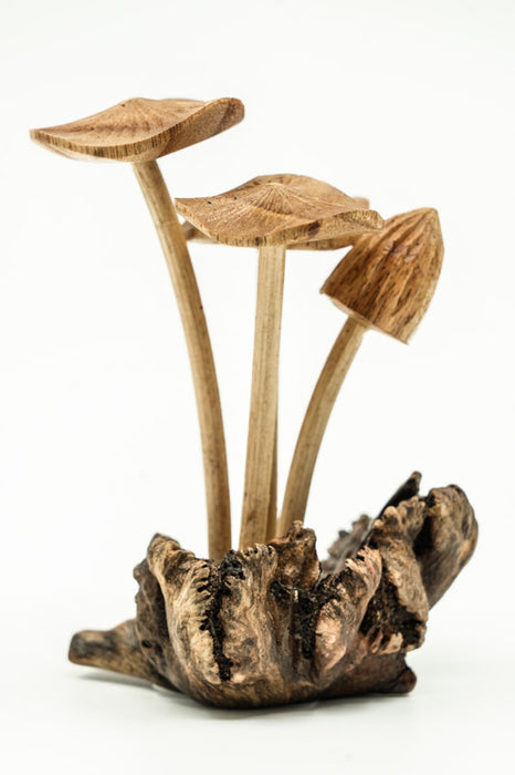 Decorative assorted mushrooms on stems, natural, 12cm