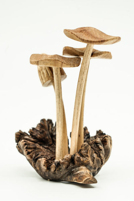 Decorative assorted mushrooms on stems, natural, 12cm