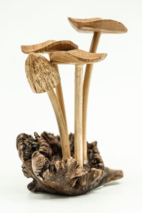 Decorative assorted mushrooms on stems, natural, 12cm