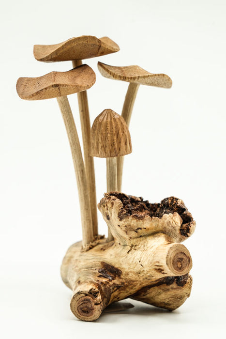 Decorative assorted mushrooms on stems, natural, 12cm
