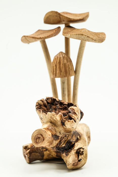 Decorative assorted mushrooms on stems, natural, 12cm