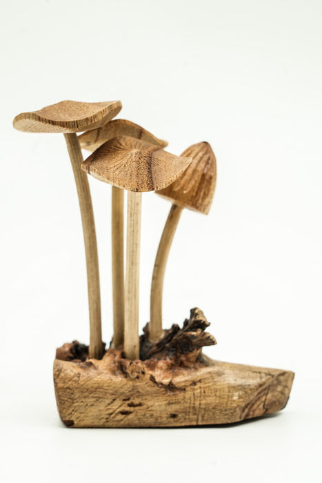 Decorative assorted mushrooms on stems, natural, 12cm
