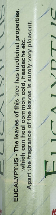 Encens bâtons HEXAGON eucalyptus 20 gr.